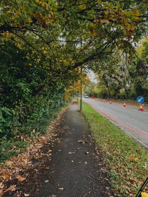 iPhone photo example 15